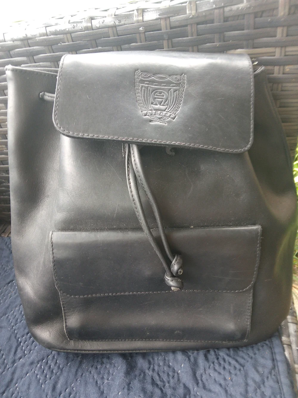 Etienne Aigner Black Leather Drawstring Backpack with Crest